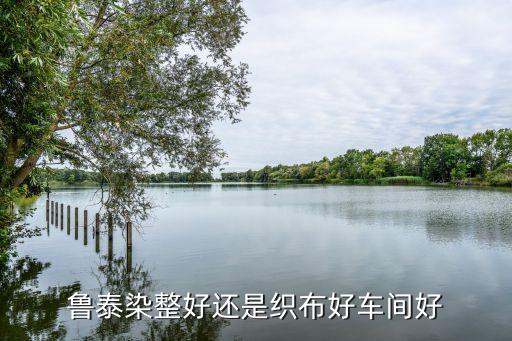 魯泰染整好還是織布好車間好
