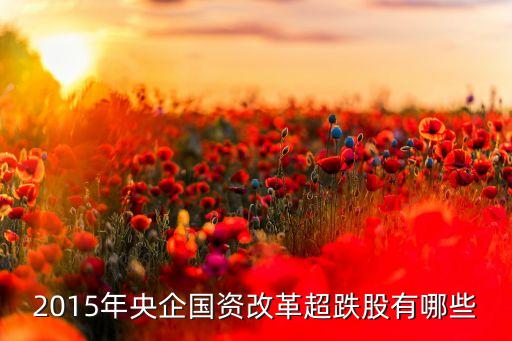 湖南金豐紡織集團(tuán)有限公司,若羌金豐源紡織有限公司