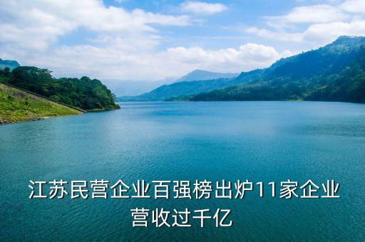  江蘇民營企業(yè)百強(qiáng)榜出爐11家企業(yè)營收過千億