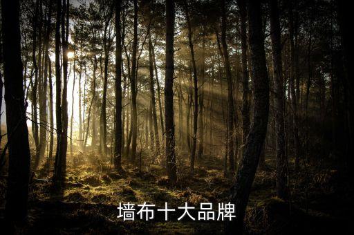 墻布十大品牌