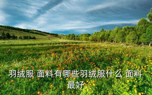tc面料好嗎,david tc面料