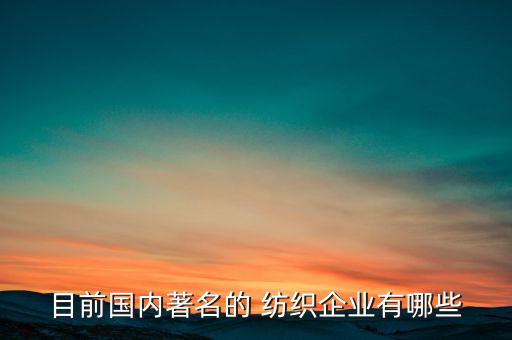 目前國(guó)內(nèi)著名的 紡織企業(yè)有哪些