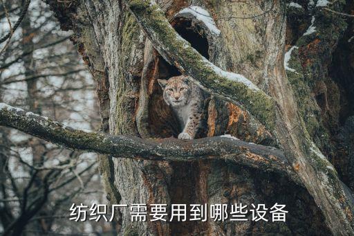  紡織廠需要用到哪些設(shè)備