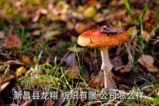 新昌縣龍翔 紡織有限 公司怎么樣