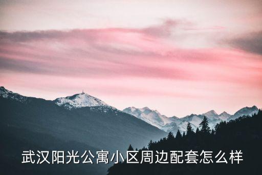  武漢陽光公寓小區(qū)周邊配套怎么樣