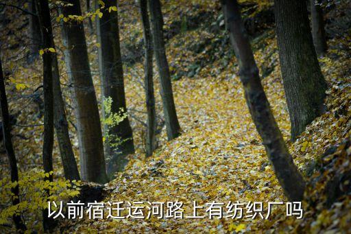 以前宿遷運河路上有紡織廠嗎