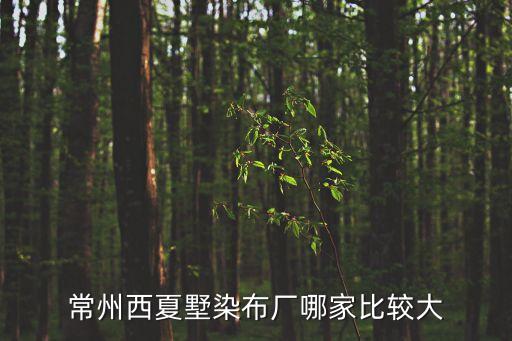 常州西夏墅染布廠哪家比較大