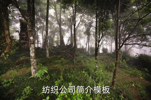  紡織公司簡介模板