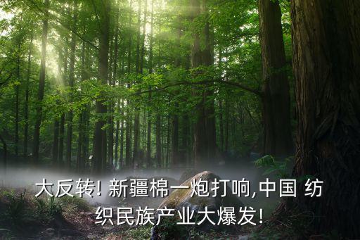 新疆佰鄭紡織,新疆紡織工業(yè)學校