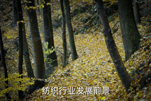 2017新疆紡織投資項目,致富網(wǎng)小投資項目2017