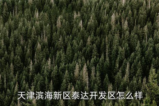  天津?yàn)I海新區(qū)泰達(dá)開發(fā)區(qū)怎么樣