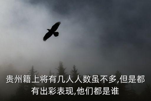 貴州籍上將有幾人人數(shù)雖不多,但是都有出彩表現(xiàn),他們都是誰