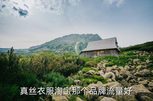 真絲衣服淘寶那個品牌流量好