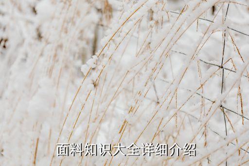  面料知識大全詳細(xì)介紹