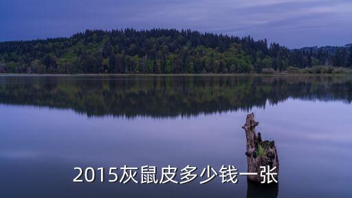 2015灰鼠皮多少錢一張