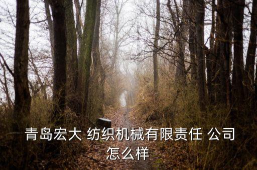  青島宏大 紡織機(jī)械有限責(zé)任 公司怎么樣