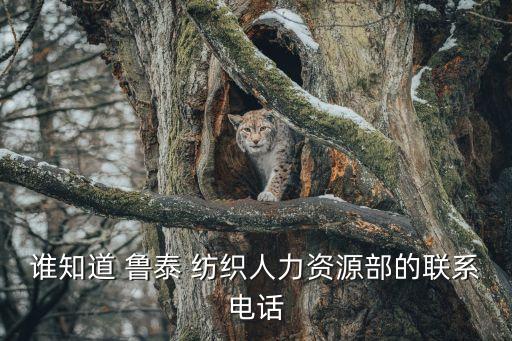誰知道 魯泰 紡織人力資源部的聯(lián)系電話