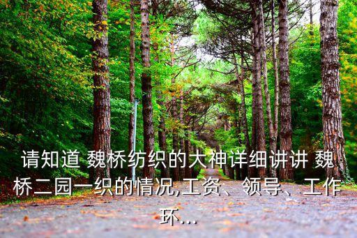 請知道 魏橋紡織的大神詳細(xì)講講 魏橋二園一織的情況,工資、領(lǐng)導(dǎo)、工作環(huán)...