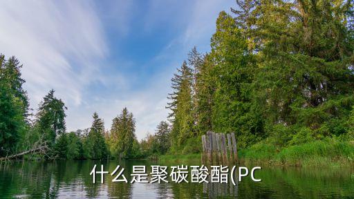 什么是聚碳酸酯(PC