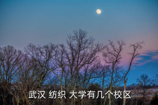  武漢 紡織 大學(xué)有幾個(gè)校區(qū)