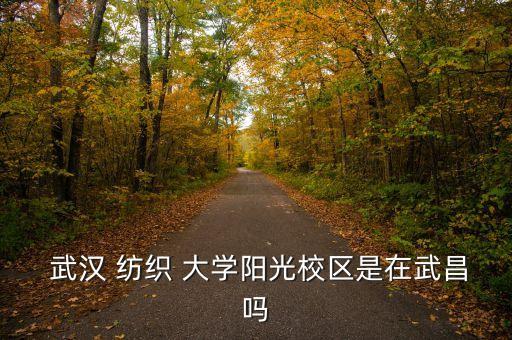  武漢 紡織 大學(xué)陽光校區(qū)是在武昌嗎