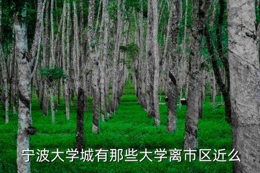  寧波大學(xué)城有那些大學(xué)離市區(qū)近么