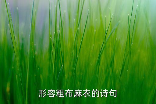 形容粗布麻衣的詩句