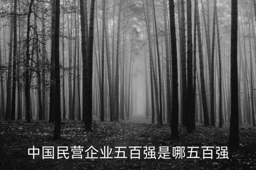 中國民營企業(yè)五百強(qiáng)是哪五百強(qiáng)