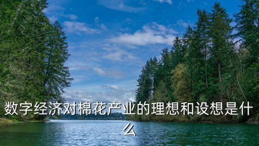 數(shù)字經(jīng)濟(jì)對棉花產(chǎn)業(yè)的理想和設(shè)想是什么