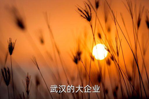 武漢一棉集團有限公司 信用評級