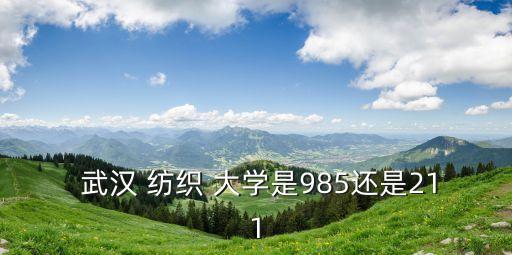  武漢 紡織 大學是985還是211