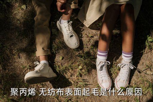 聚丙烯 無紡布表面起毛是什么厡因