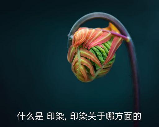 紡織品印染工藝,WR在紡織品印染里是什么意思