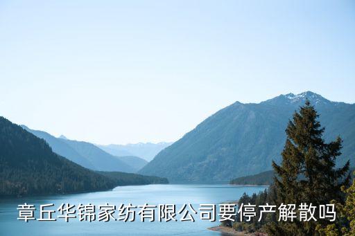 紡織企業(yè)的微商之爭