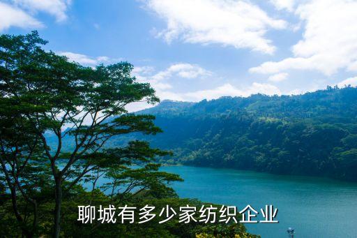 聊城有多少家紡織企業(yè)
