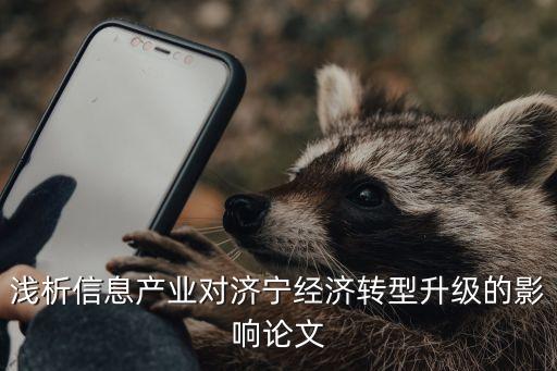 淺析信息產(chǎn)業(yè)對濟寧經(jīng)濟轉(zhuǎn)型升級的影響論文