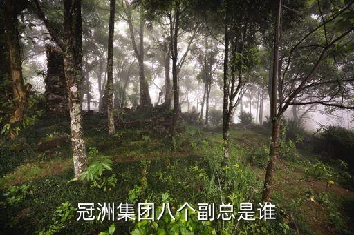 冠洲集團(tuán)八個(gè)副總是誰