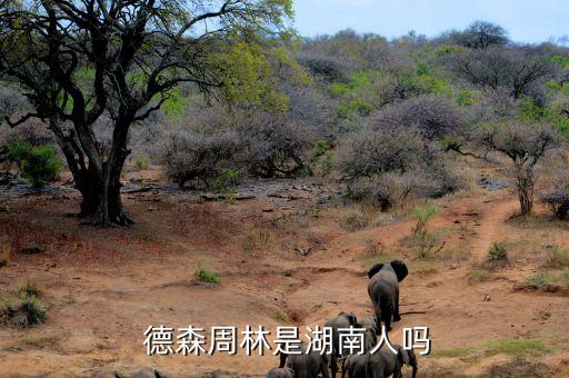  德森周林是湖南人嗎