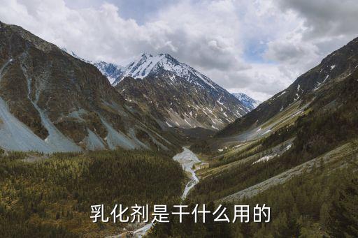 紡織乳化劑作用,食品乳化劑的作用與功效