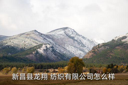 新昌縣龍翔 紡織有限公司怎么樣