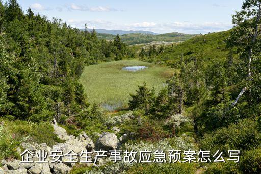 企業(yè)安全生產(chǎn)事故應(yīng)急預(yù)案怎么寫