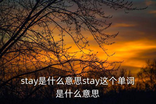 stay是什么意思stay這個單詞是什么意思
