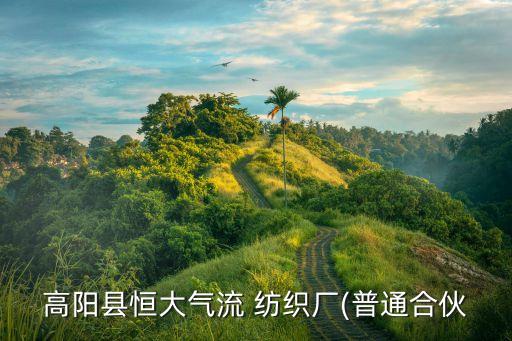 高陽縣恒大氣流 紡織廠(普通合伙