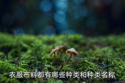 衣服布料都有哪些種類和種類名稱