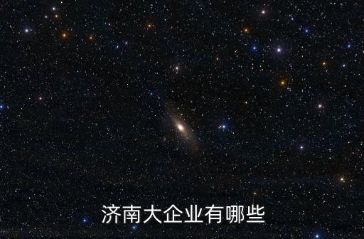  濟南大企業(yè)有哪些
