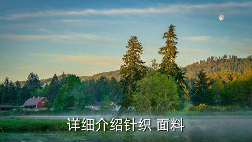 詳細(xì)介紹針織 面料