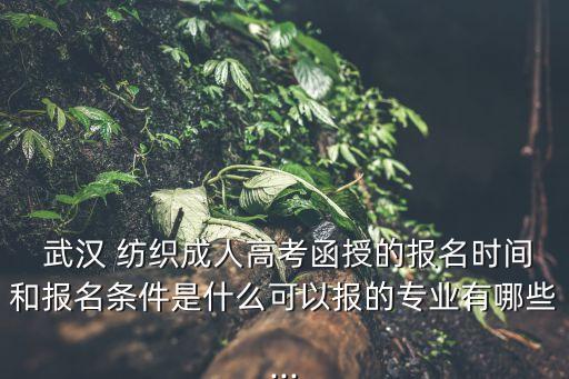 武漢紡織大學(xué)空乘