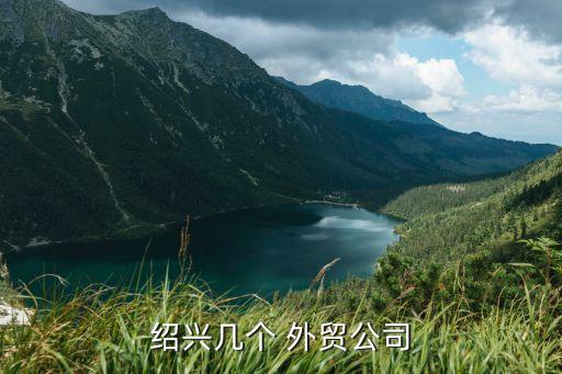 紹興幾個 外貿(mào)公司
