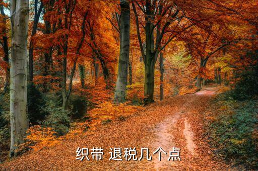 出口退稅 紡織品,增值稅出口退稅
