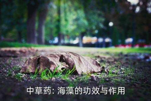 中草藥: 海藻的功效與作用
